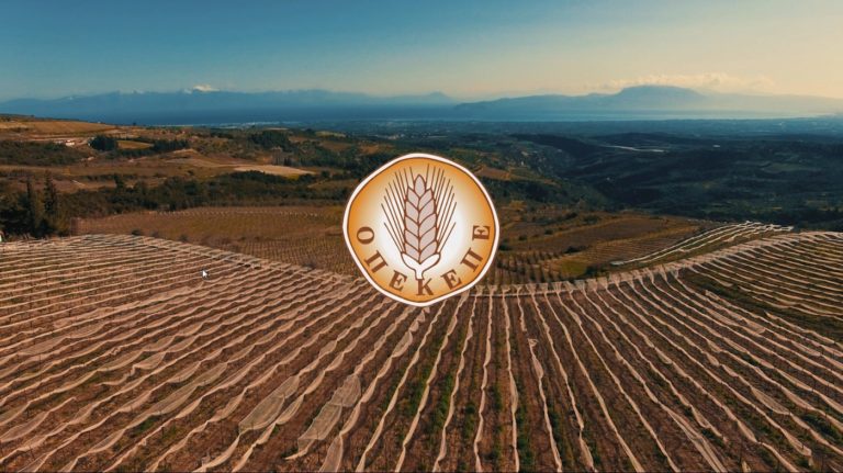 Πληρώθηκαν 13,1 εκατ. ευρώ σε 70.652 αιτήσεις