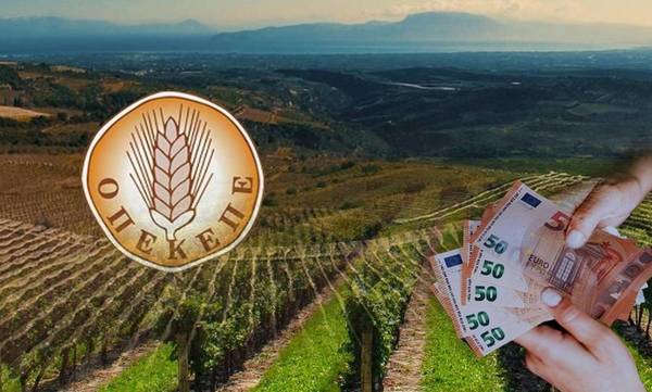 Κατατέθηκαν 28,78 εκατ. ευρώ σε δικαιούχους για βιολογική κτηνοτροφία και μελισσοκομία 2024