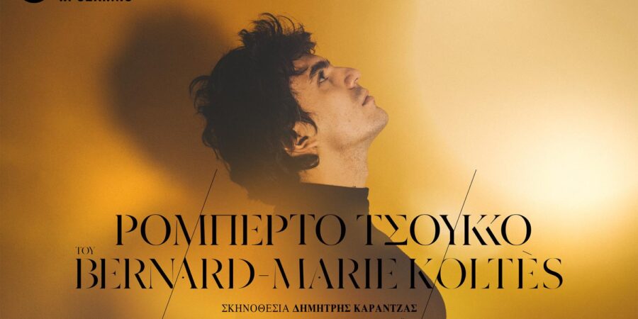 «Ρομπέρτο Τσούκκο»