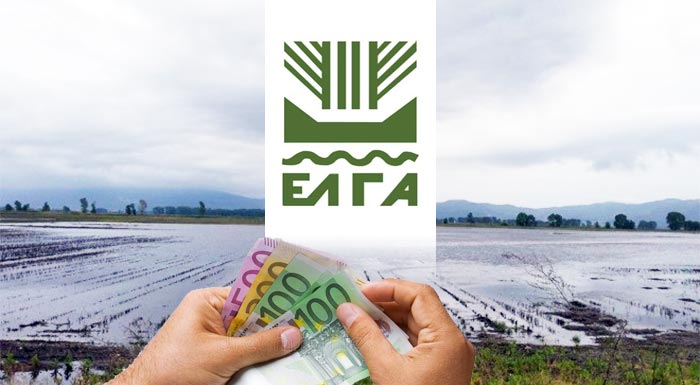 ΕΛΓΑ: Καταβολή αποζημιώσεων ύψους 73 εκατομμυρίων ευρώ για ζημίες του 2025