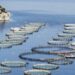 Πρόσκληση 4 εκατ. ευρώ για την υποστήριξη του χωροταξικού σχεδιασμού των υδατοκαλλιεργειών