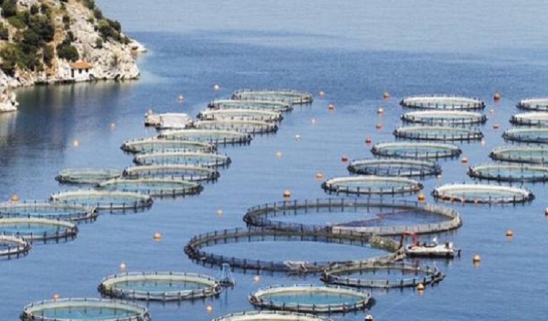 Πρόσκληση 4 εκατ. ευρώ για την υποστήριξη του χωροταξικού σχεδιασμού των υδατοκαλλιεργειών