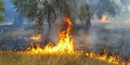 Καταβλήθηκαν 1,2 εκατ. ευρώ σε 441 δικαιούχους για τις ζημιές από πυρκαγιές του 2022