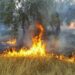 Καταβλήθηκαν 1,2 εκατ. ευρώ σε 441 δικαιούχους για τις ζημιές από πυρκαγιές του 2022