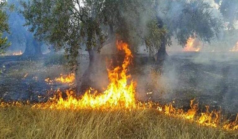 Καταβλήθηκαν 1,2 εκατ. ευρώ σε 441 δικαιούχους για τις ζημιές από πυρκαγιές του 2022