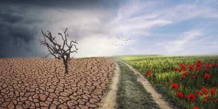 Επιτροπή του ΟΗΕ για την Κλιματική Αλλαγή: «Αναπόφευκτα η Ευρώπη θα βιώσει και άλλους καύσωνες στο μέλλον»