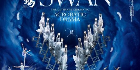 SWAN behind the scenes