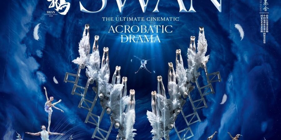 SWAN behind the scenes