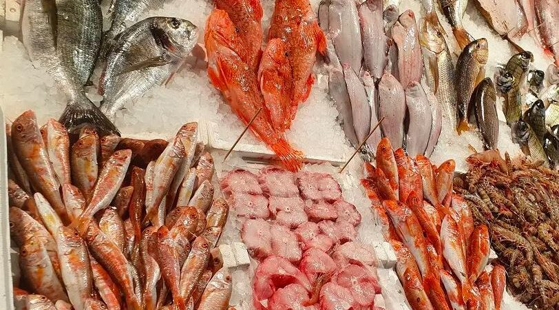 Η ελληνική ιχθυοτροφία υπό βασιλική επιστασία