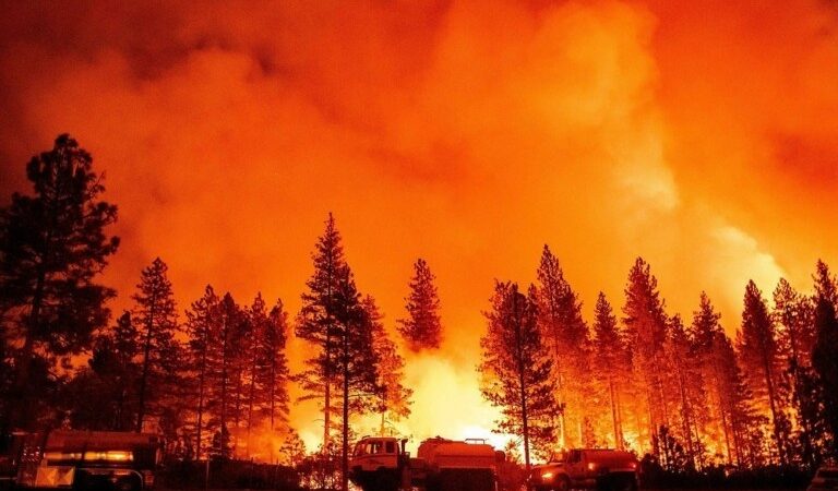 Το ασύλληπτο κόστος των πυρκαγιών στη ΝΑ Ευρώπη