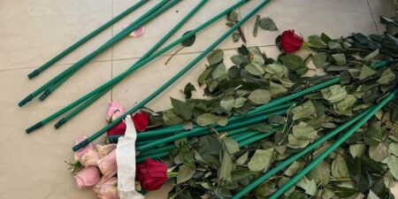 ΑΑΔΕ – Επιχείρηση «Τα άνθη του κακού»: Κύκλωμα έκρυβε 84 κιλά κοκαΐνης μέσα σε τριαντάφυλλα