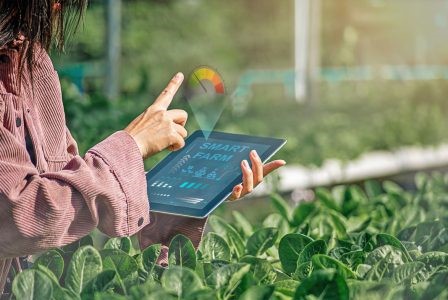 7,71 εκατ. ευρώ για αγροτεχνολογία -αγροδιατροφή, ψηφιακή υδροπονία, καινοτομία και πολιτισμό στην Πελοπόννησο