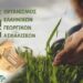 ΕΛΓΑ: έως 19 Οκτωβρίου οι δηλώσεις για τις ζημιές στο Οροπέδιο Λασιθίου