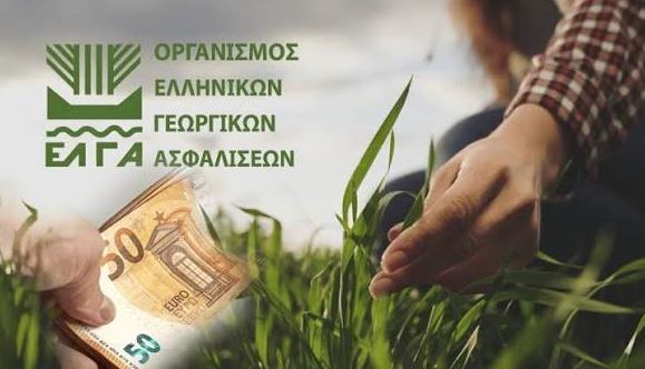 ΕΛΓΑ: έως 19 Οκτωβρίου οι δηλώσεις για τις ζημιές στο Οροπέδιο Λασιθίου